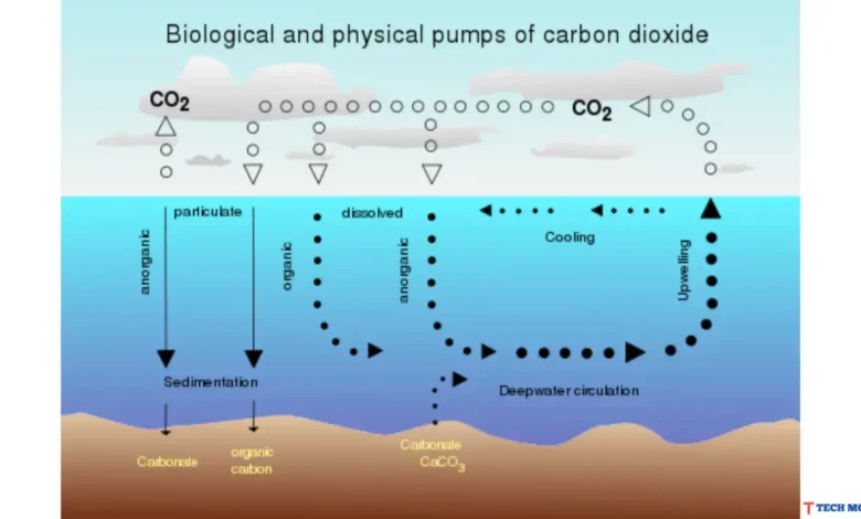 ocean-circulation-and-co2-storage